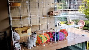 DIY Kandang Kucing Pet Cage Kandang Kucing Pagar Besi Kandang Anjing Sangkar Kandang Hamster 35cm