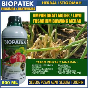 PUPUK BAWANG MERAH TERBAIK AMPUH OBATI MOLER dan LAYU FUSARIUM Daun BAWANG MERAH - Pupuk Semprot Cair Tanaman Bawang Anti Busuk Umbi Bawang Busuk Daun Bawang Serta Semua Penyakit Bawang Merah Bawang Putih dan Bawang Daun