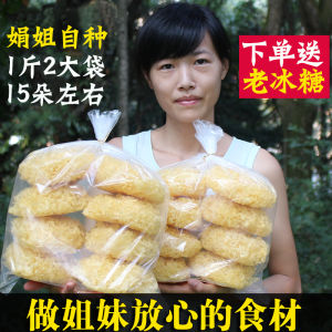 Sister Juangutian Authentic Fresh Tremella a Kind of Semi-Transparent White Fungus Dry Goods 500G Tremella White Fungus Specialty Non-Smoked Sulfur Non-Tremella Lotus Seed Soup