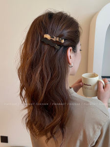 2 Retro Minimalist Geometric Acetate Hairpin Womens Side Shredded Hair Bangs Clip 2024 New Arrival Duckbill Clip Headdress