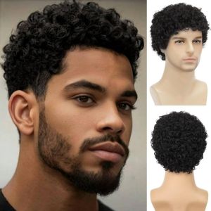 Hair Extensions Synthetic Fiber African Wigs for Men Daily Use Breathable Black Head Cover Fluffy Curly Short Mens Hair Wig