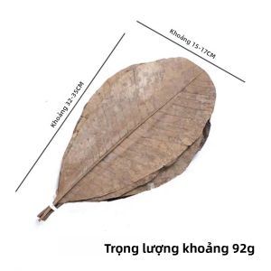 Bộ Đồ Ăn Sushi Trang Trí Bằng Lá Tre Cho Nhà Hàng Nướng Bún Tươi Trang Trí Món Ăn Lạnh Hoa Cây Lá Tre