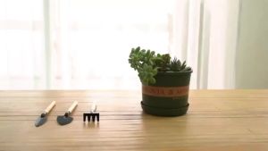 1set/3pcs Small Garden Tools for Gardening - Planting Tools Set with Small Garden Shovel Hand Ergonomic Hand Rake