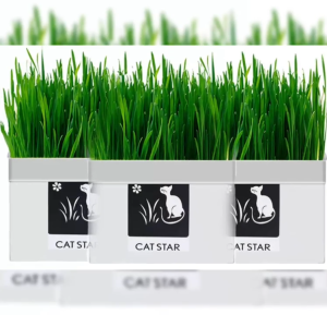 Easy-Grow Cat Grass Kit Without Soil free Perfect for Pet Health & Digestion