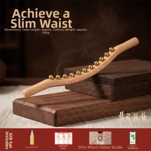 HUIJI | Full Body Massage Roller for TCM Beauty Parlor Use