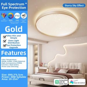 Philips | Nordic Modern Simple LED Ceiling Light