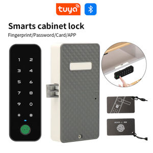 Tuya Invisible Electronic RFID Cabinet Lock Keyless Hidden Door Lock for Furniture Cabinet Drawer - Castle Security System