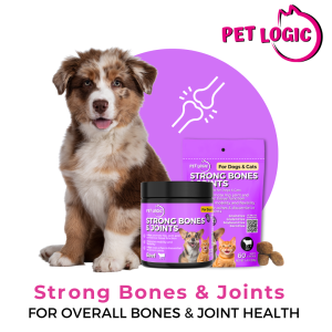 Pet Logic Strong Bones & Joints Dog & Cat Treats Supplement Snack 40g : Dog Probiotics Dog Multivitamins Dog Supplements Appetite Booster for Dogs Puppy Food Adult Dog Food for Jolly Joints Support .