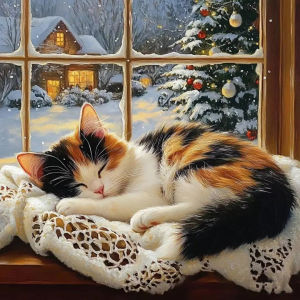 Oil Painting By Number Sleeping Cat Number Drawing Canvas Pictures By Numbers Home Decor Large Size