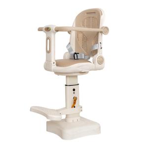 DUHAO | Front Mounted Safety Child Seat