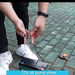 Máy Bơm Nước Mini 12V-24V Máy Bơm Nhiên Liệu Dầu Nước Thả Trong Can Phi Lõi Đồng Vỏ Nhôm Có Kẹp Và Công Tắc