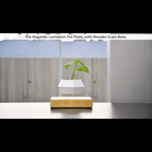 Floating Plant Pot Succulents Air Bonsai Home Office Desk Decor Magnetic Levitating Rotating Display