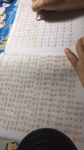 Bút + Ngòi chuyên dụng Chép Kinh - chepkinh.vn Bút Dành Cho Chép Kinh tiếng Trυng - CB3