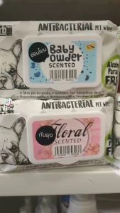 Absorb ทิชชู่เปียก ผ้าเปียก (80 แผ่น) ยับยั้งแบคทีเรีย ไม่มีแอลกอฮอล์ ไม่ระคายเคือง (ผ้าหนานุ่มพิเศษ)