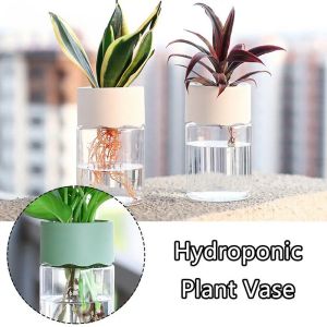 Convenient Reusable Transparent PP Plastic Soilless Culture Flower Vase Garden Balcony Decorative Potted Plant Hydroponic Bottle