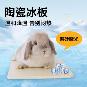 แผ่นเย็นแบบหมีแพะเซรามิก UMI สำหรับสัตว์เลี้ยงในบ้าน ฮิสตัน ทาร์ลีย์ ที่ระบายความร้อนจากแผ่นอุปกรณ์เย็นสบายในฤดูร้อน