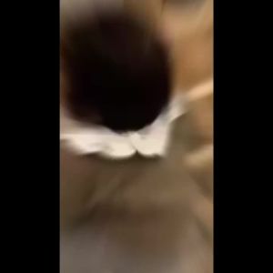 Toddler Climbing Gym Kids Climbing Gym Playground For Kids Toddler Indoor Playground Kids Climbing Gym Wooden Double-Sided 攀爬架