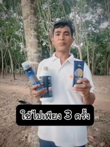 อะมิโนพืช Amino Black อะมิโนแบล็ค โฟร์ทรี 4Tree จุลินทรีย์เพื่อการเกษตร สร้างแป้งเพิ่มน้ำหนัก ต้านโรคเสริมระบบราก ชนิดน้ำของแท้ 100%