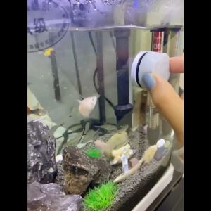 Aquarium Powerful Mini Magnetic Magnet Brush Cleaner For Glass Surface Fish Keeping Tank 1pc