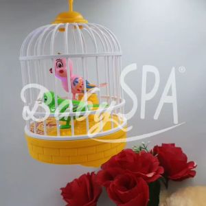 BabySPA Kids Simulation Bird Cage Toys with Sound Realistic Voice Sensor Control (Random Colors)