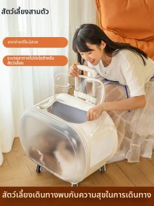 PETSEEK | Travel And Airline Compatible Pet Carrier With Wheel