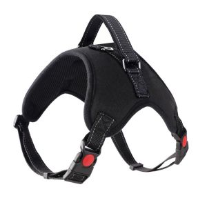 Dog Leash Vest-Style Chest Strap Small Medium Large Dogs Walking Golden Retriever Labrador Teddy Dog Chain Rope Love Bear