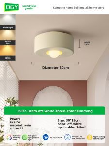 DGY | Modern Nordic Style Ceiling Light for Corridors Stairs Closets Entryways and Balconies