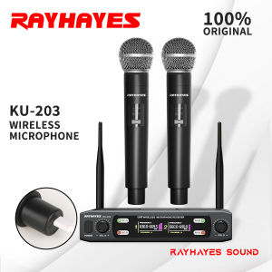 RAYHAYES Professional Wireless Home Entertainment Microphone System Karaoke