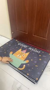 Quick-Drying Floor Mats: Hotel Home Mat Solutions