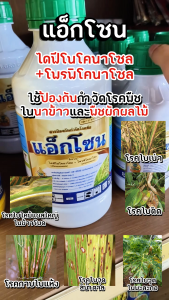 แอ็กโซน ขนาด 1 ลิตร ไดฟีโนโคนาโซล15% + โพรพิโคนาโซล15% W/V EC