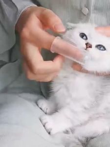 Sikat Gigi Kucing Anjing Sikat Gigi Silikon Jari Pet Toothbrush
