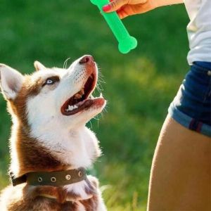 Super Tough Dog Bone Chew Toy Rainbow for Aggressive Chewers Puppy Teeth Cleaning Blue Training Clicker Outdoor Obedience Traini