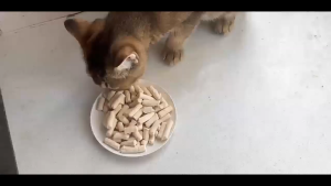 17±g Freeze-Dried Goat Milk Stick Dog Cat Snack