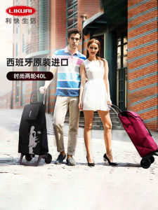 Large Capacity Two-Wheel Shopping Cart Foldable Rolser Vegetable Buying Car Pull Rod Cart Portable Family Storage Tools