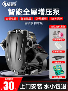 Automatic Self-Priming Pump 220V Water Well Pipe Pressurized Pump Domestic Water Supply Small Drawing Machine Water Pump