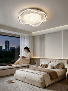 Smile | Creative Modern Minimalist LED Ceiling Light