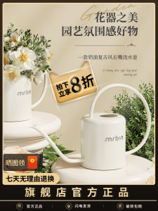 Long-Nosed Watering Can for Flowers High-Aesthetic Value Succulent Sprayer Household Special Use Fine-Mouth Iron Watering Pot