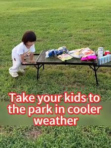 SOFTHOME Outdoor Folding Table Mesh Table Foldable Aluminum Camping Home Table with Storage Bag