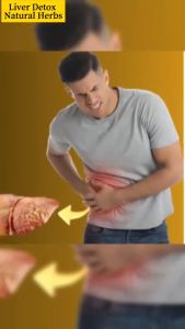 蒲公英茶菊花决明子茶枸杞养肝护眼降肝火养生茶保健熬夜茶Dandelion Tea Goji Berry Chrysanthemum Cassia Seed Tea Liver Nourishing Eye Protecting Liver Fire Lowering Health Preserving Tea Health Staying Up Late Tea