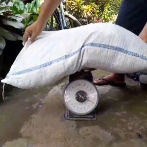 COCOPEAT KARUNG 50 kg GROSIR