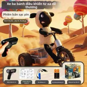 SHENMISHAONIAN | Xe Đua Trượt RC Off-road