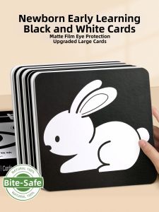 STARRY ARK | Black and White Visual Stimulation Card for Baby 0 to 3 Months