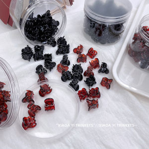 Mini Hair Clips Womens Hair Accessories Black Acrylic Hair Grips Side Hair Clips Fashionable Korean Style Hair Decorations