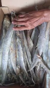 Ikan Asin Layur Kering 1 Kg Super Murah Best Seller