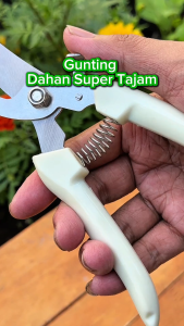 Infarm Gunting Dahan Ranting Stek Pruning Stainless Steel Pruning Shears