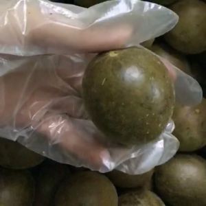 quả la hán thanh nhiệt loại to Việt Nguyên