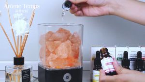 Reviln น้ำมันหอมระเหย การออกแบบหยด น้ำมันอโรมาเทอราพี 10ml ฟอกอากาศ เครื่องทำความชื้น