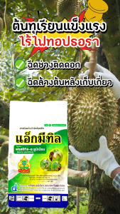 แอ็กมีทิล ฟอสอีทิล-อะลูมิเนียม 80% WG 1 กิโลกรัม ป้องกันโรคยอดเน่า-ต้นเน่า โรครากเน่าโคนเน่าในทุเรียน
