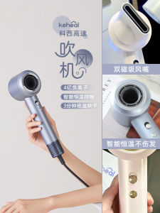 Koishi HC5 Plasma Water Light Hairdryer Home Use High Speed No Leaf Dryer Puffy Smooth Bright Hair Care Other Beauty Tools