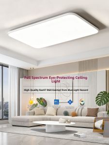 RUILUO | Full Spectrum Eye Protection Ceiling Light Modern Thin